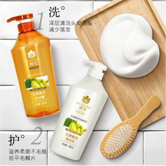 Bee Flower Shampoo, Ginger Hair Strengthening Shampoo, Men's and Women's Conditioner, Cleansing Conditioner, Fluffy and Smooth, Wholesale Hair Replacement