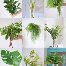 ~β~rϻֱld~仨ˮBrлƿ廨Gֲ