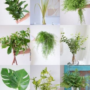 �~β�~�r����ϻ���ֱ�l�d���~����仨ˮ�B�r�л�����ƿ�廨�Gֲ