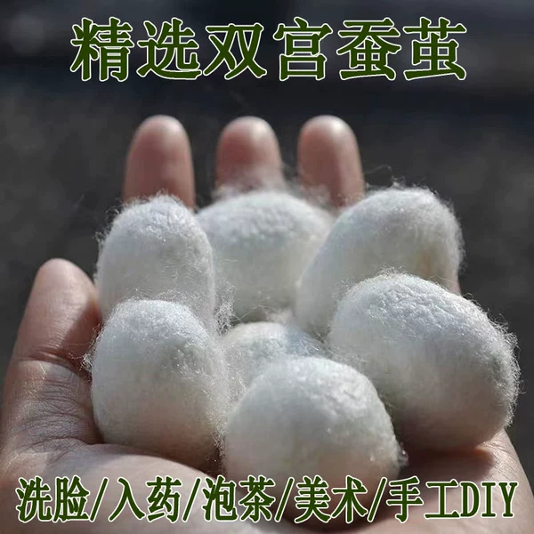 【20 pcs】White Double Palace Dried Silkworm Cocoons