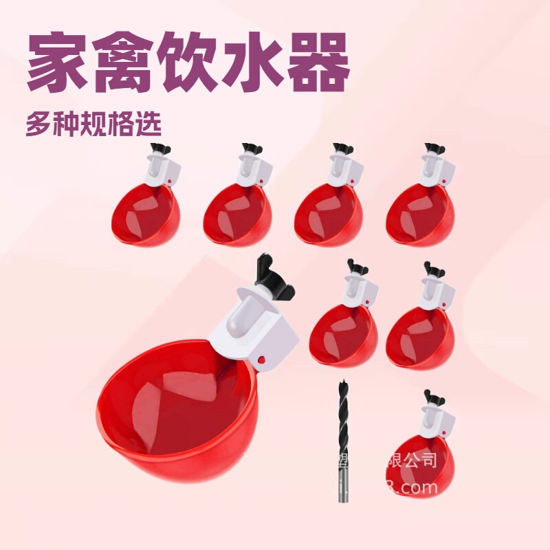 Source Manufacturer Round Drinking Bowl for Chickens, Ducks, Geese, and Poultry, Fully Automatic Drinking Bowl Chicken Waterer Source Manufacturer Round Drinking Bowl for Chickens, Ducks, Geese, and Poultry, Fully Automatic Drinking Bowl Chicken Waterer