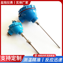 �����ȵ���WZP-130/230/231/331 PT100/PT200��װ�����Ʋ�����