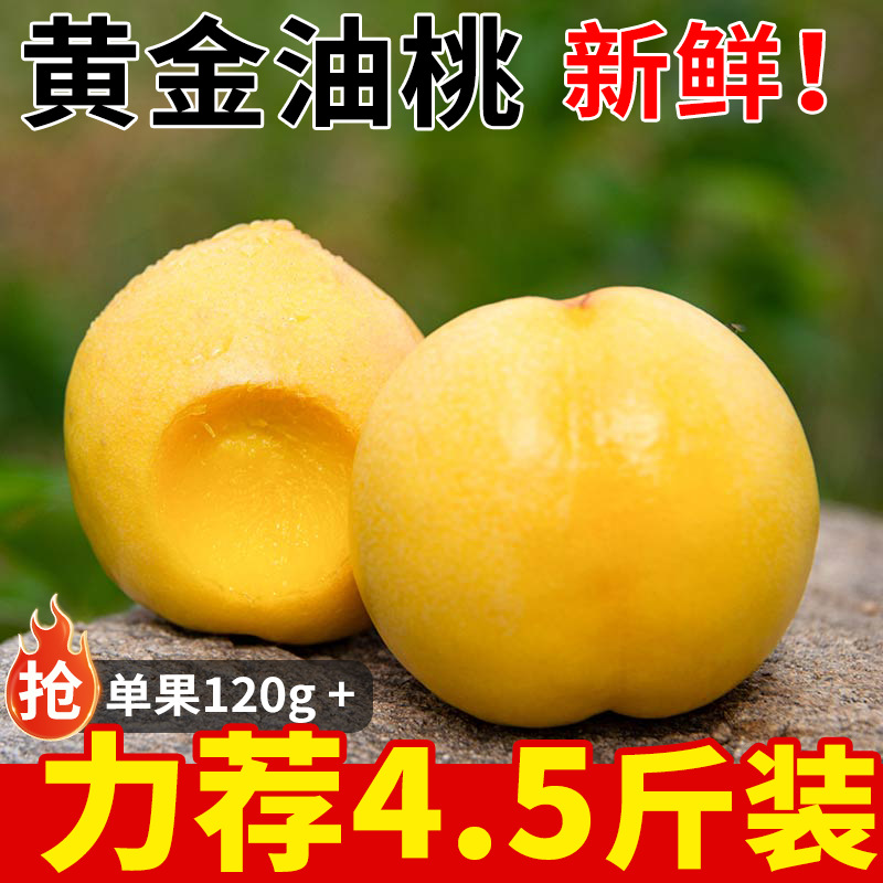 山东黄金油桃原产地应当季新鲜时令水果农家园地现摘整箱打包速发