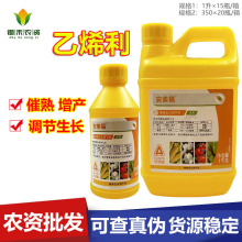 ������ ������ 40%��ϩ��ˮ���޻����a�㽶����ֲ�����L�{����