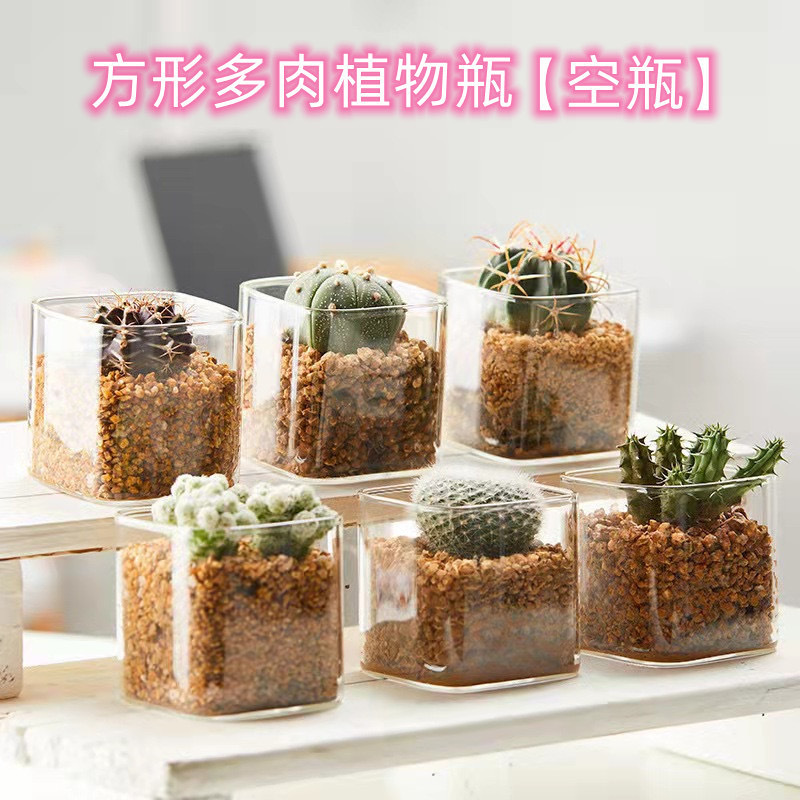 Transparent Hydroponic Glass Square Tank Vase Simple Fish Tank Water-Cultured Pothos Succulent Vessel Square Candlestick Glass Flower Pot