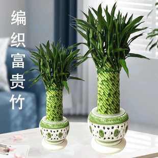 �����߸��F��ֲ���_�\�������Կ͏dˮ�B���;Gֲ�҃���ؔ���w���w