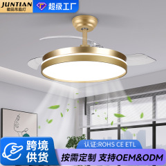 轻奢高级感隐形风扇灯42寸变频客厅吸顶吊扇灯餐厅卧室柔风吊扇灯