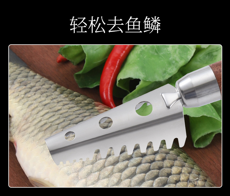 未标题-2_11.jpg