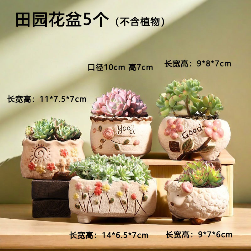Twilight pastoral transpirable suculentas maceta cerámica hogar carne especial pequeña cerámica cerámica venta directa de fábrica al por mayor