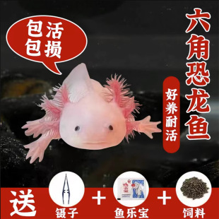 ���ǿ����~ϔ������ˮ��ˮ�~���B�ͻ���~�\���^�p�~С���ь���