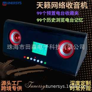 Tunersys Haixuan Internet Radio Wifi Stereo Fever Hifi High-End Radio