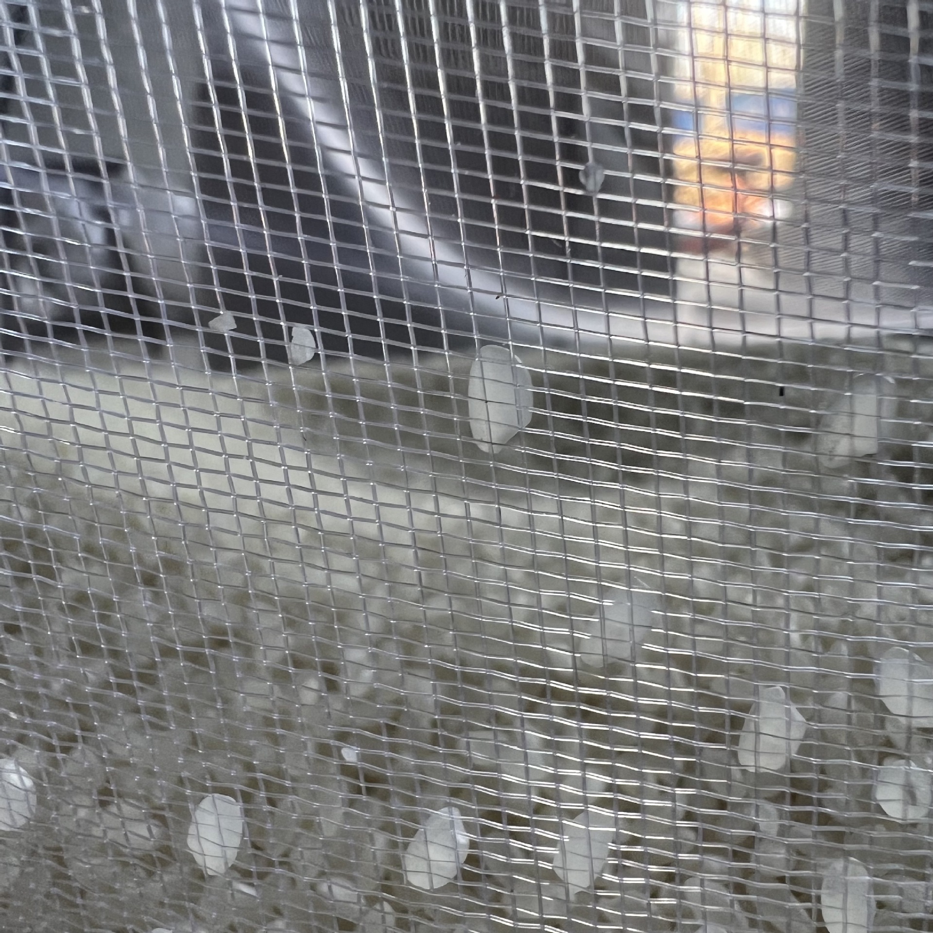 3F9BE9E403966D9DADD89E801896BC