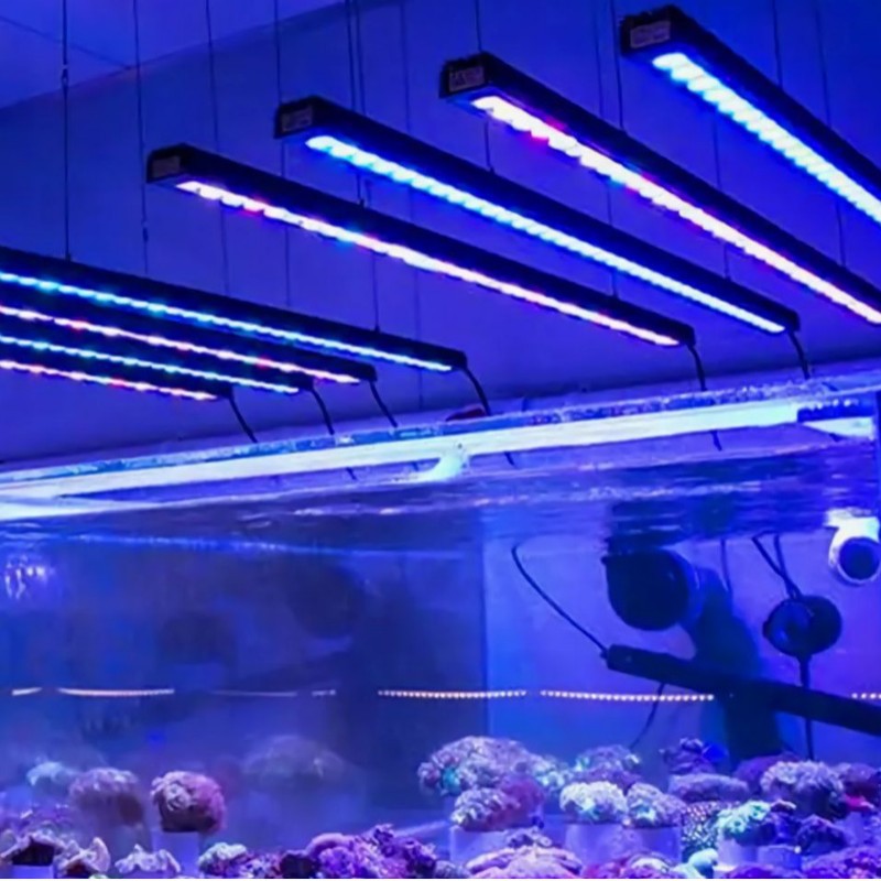 ׵Ƶѹusbˮ˫ˮ޵30wɱˮ