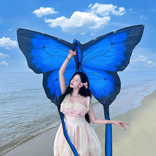 Photo Kite 2025 Spring Outing Long-Tailed Butterfly Girl Props Decoration Forest Atmosphere Picnic Elf Outdoor