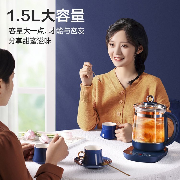 养生壶煮茶壶家用多功能全自动办公室小型蒸煮花茶壶煮茶器