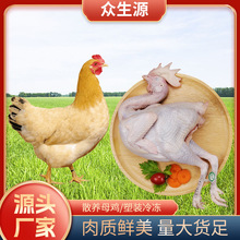 ��ĸ�u�r�����u���rʳƷ���u���r11kg/����˺�u���u�u�uѬ�uԭ��