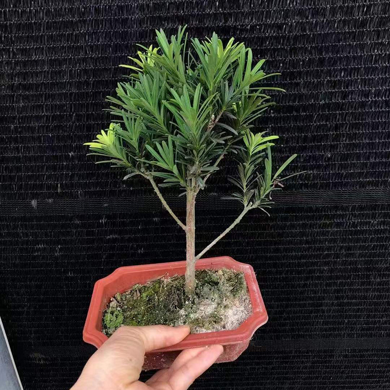 微信图片_20220322114513