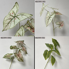 长支5头海芋叶 仿真婚庆花布置装饰假叶子绿植批发带斑点海棠叶子