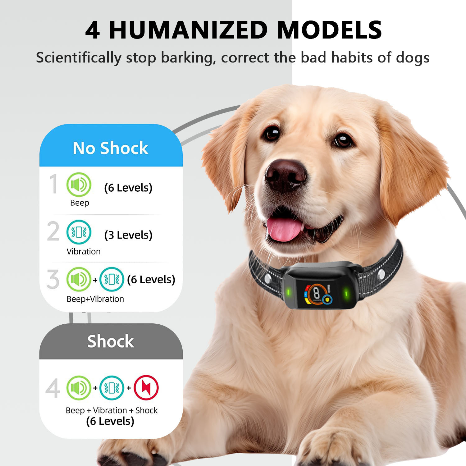 微信图片_20240614145853