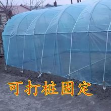 家用温室小花房暖房花棚骨架保温棚多肉楼顶庭院室外小型植物过冬