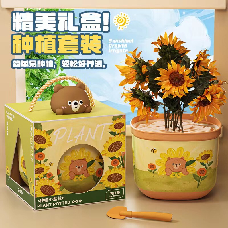 Children's planting small potted vegetable fruit flower plant observation Cup scientific experiment suit toy kindergarten gift
