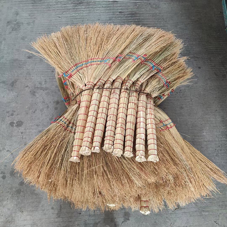 IMG_6625(20210302-140334)