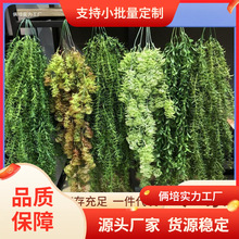 ����Gֲ�ٗl���~�ݱڒ����������r�в͏d�b����ٗlܛ�b�쾰