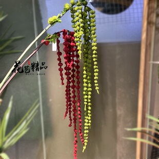 ������״���ֲ�����˜I�u�ڷ�����m�Ғ�ܛ�b��ˇ���ܽ���