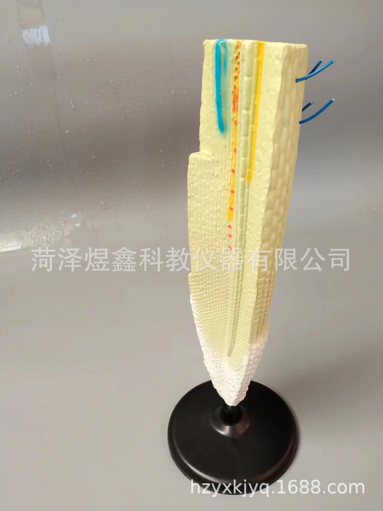 微信图片_20231223101255