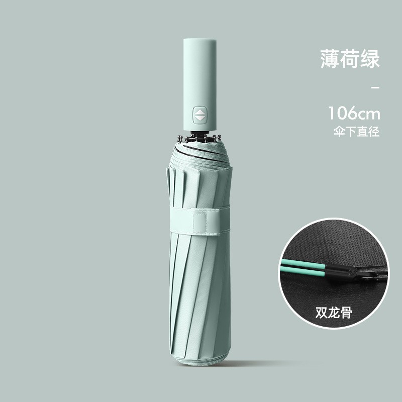 12 huesos dobles huesos - verde de niebla matinal