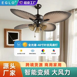 风扇灯;吊扇;灯控制器