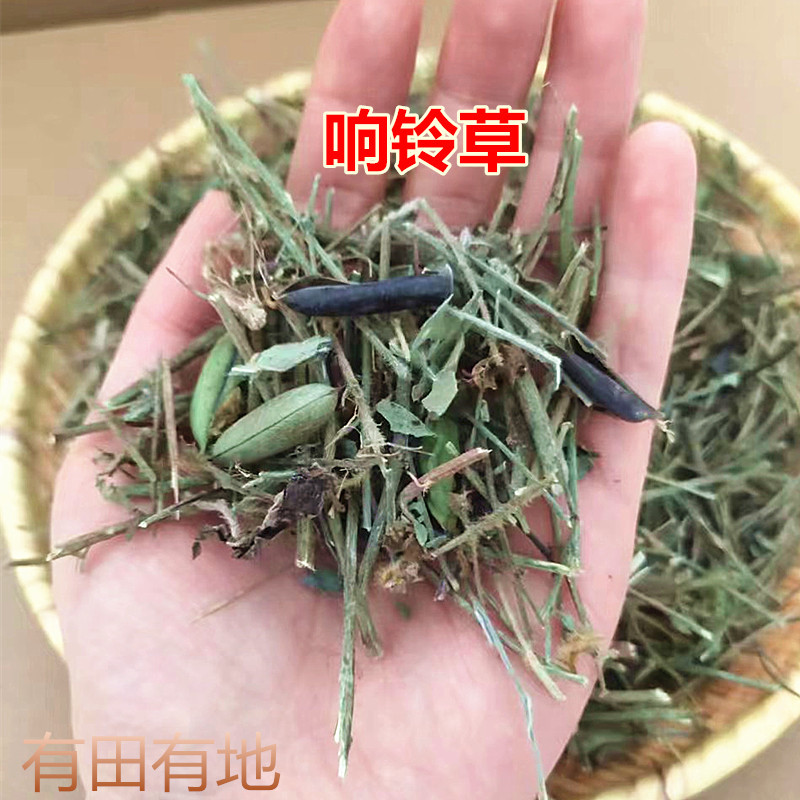 Wild Bellflower from Yunnan, Fake Peanuts, Wild Lily Material, Fresh Bellflower, Wild Bellflower