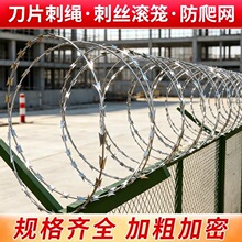 热镀锌刀片刺绳监狱围墙防爬刺铁路机场不锈钢滚笼防盗带刺铁丝网