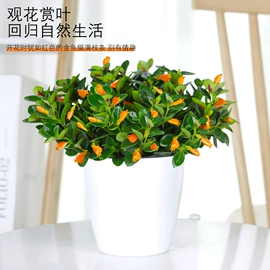盆栽;灌木;乔木