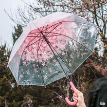 长柄自动透明雨伞女日系韩国创意小清新ins直柄樱花雨伞公主拱型