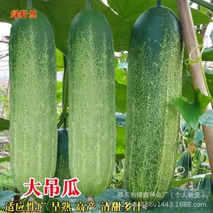 �������ϷN�Ӵ���Ϻ��S�ϷN��ԭ�b�ļ��߲˷N�Ӵ�ȫ�˷N�Ӵ��l