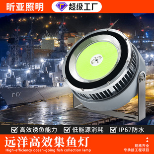 Cross-Border Outdoor Waterproof Led Fish Luring Light, Fish Gathering Light, Blue Light, Boat Raft Fishing, Sea Fishing Fish Luring Light
