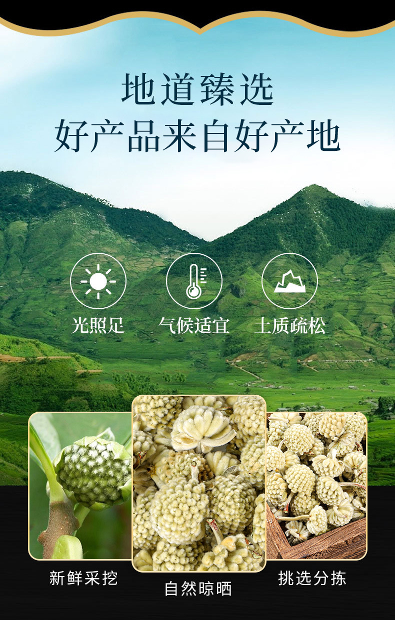 Lu Luo Hua Dried Flower (Scindapsus officinalis) — Food-Herb Botanical for Daily Herbal Tea overview