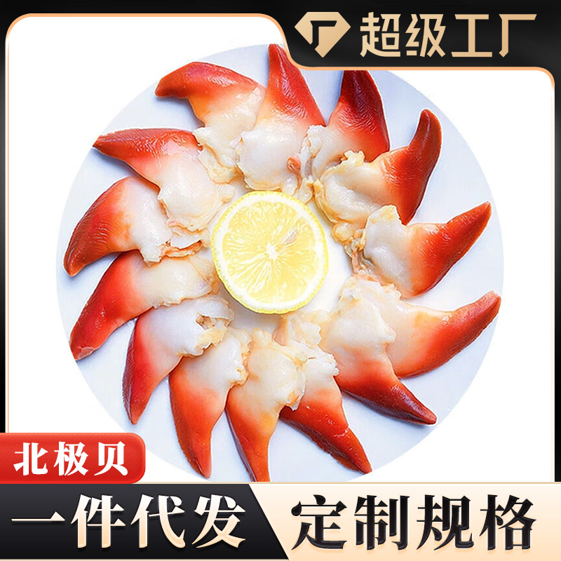 北极贝切片即食冷冻刺身肉质切片鲜贝寿司日式刺身商用批发代发