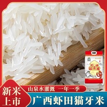 ؈�������׽z����50��20����Օ��N�YƷ����������L����������l