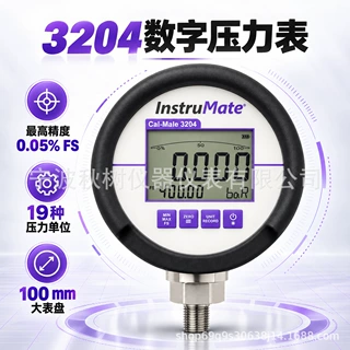 高精密度数字压力表带有RS485接口有10000条记录