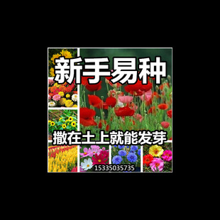 �ļ��N�Ļ��N�ӝM���ǻ��ܷN�ݻ�����ָ�׻��ļ����׻�N������