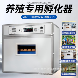 ���_���I������ȫ�ԄӼ����ʹ������ܷ����C80ö-2112ö������