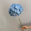 Single large hydrangea 90 leafless haze blue.