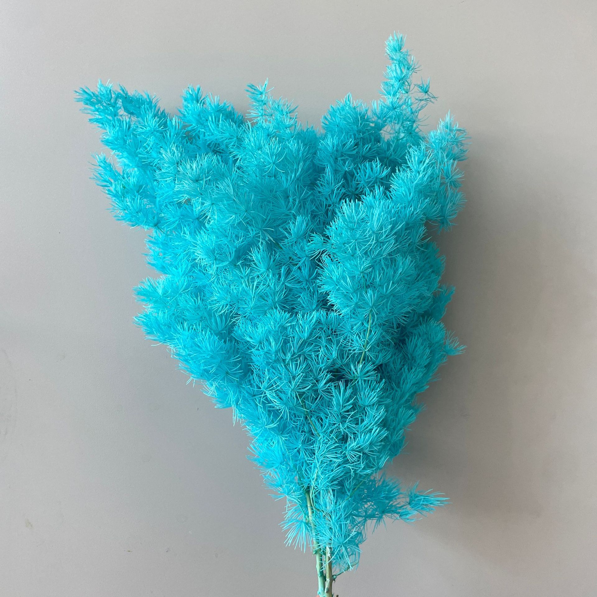 Biru Tiffany