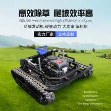 全地形油电混合公路护坡除碎草修剪机 小型遥控履带割草机德国