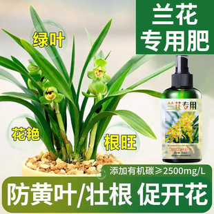 Orchid Fertilizer Special Fertilizer Phalaenopsis Clivia Moran Foliar Fertilizer Organic Flowers Orchidaceae Plant Nutrient Solution