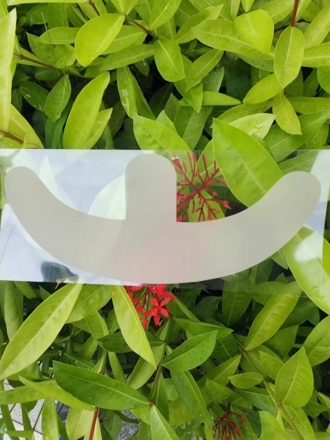 O1CN01F9iGI41TGBDpcLfFB_!!2209