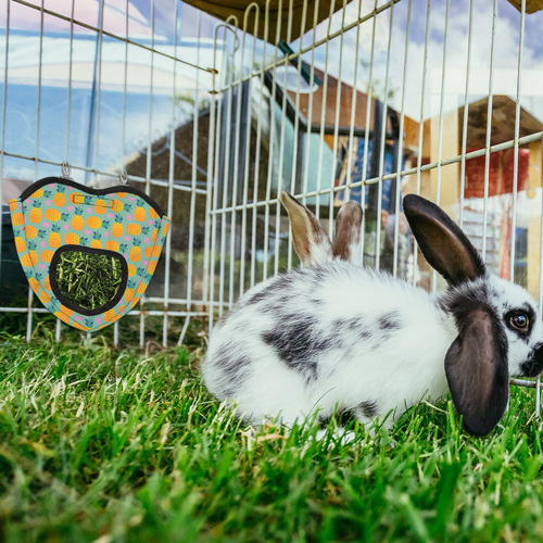 Amazon Pet Hay Bag Rabbit Hay Feeding Bag, Hanging Feeding Bag, Guinea Pig Chinchilla Hay Bag