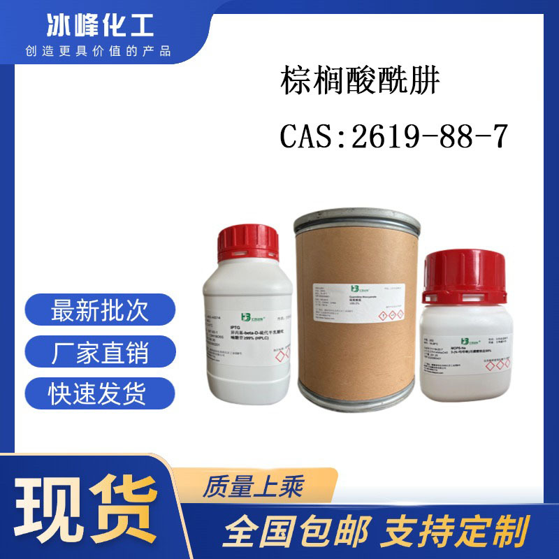 棕榈酸酰肼 2619-88-7 98%（ELSD);RG 科研试剂 化学试剂